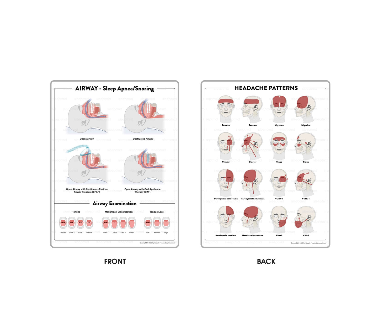 Laminated Handhelds | Double Sided | 8.5x11"