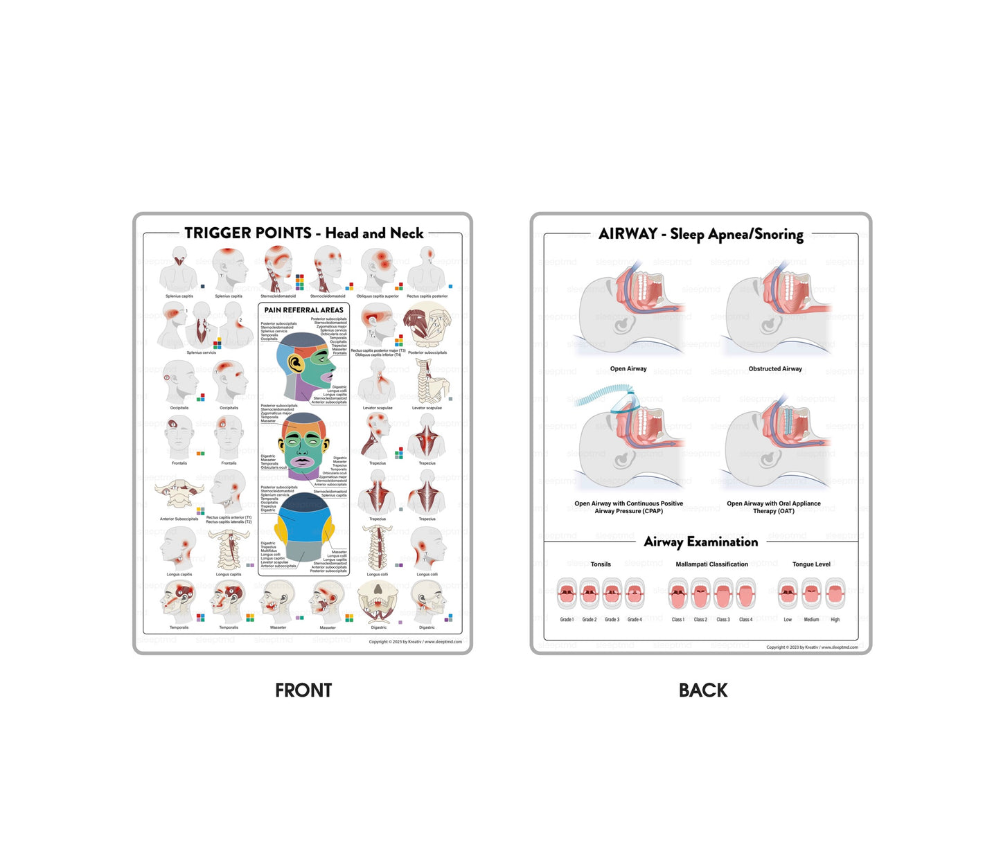 Laminated Handhelds | Double Sided | 8.5x11"