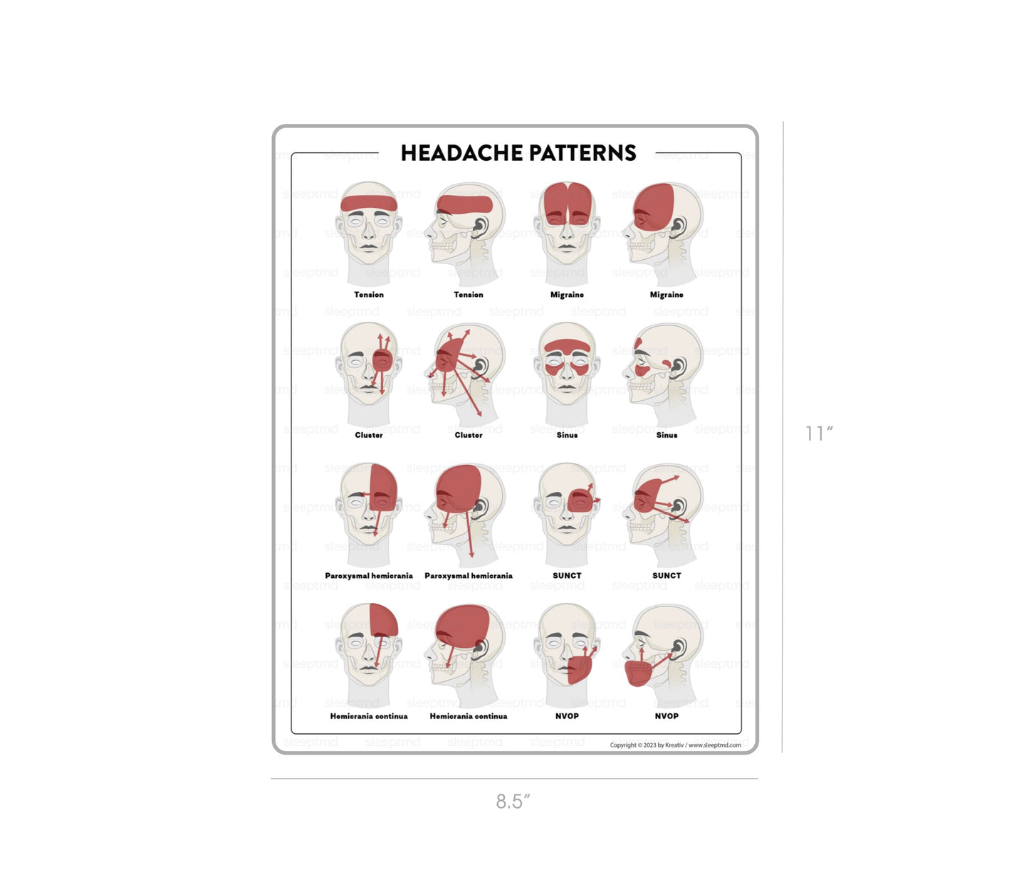 Laminated Handhelds | Single Side | 8.5x11"